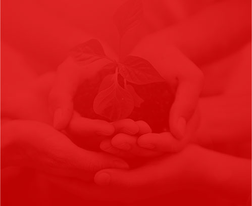 天津網(wǎng)絡(luò)公司